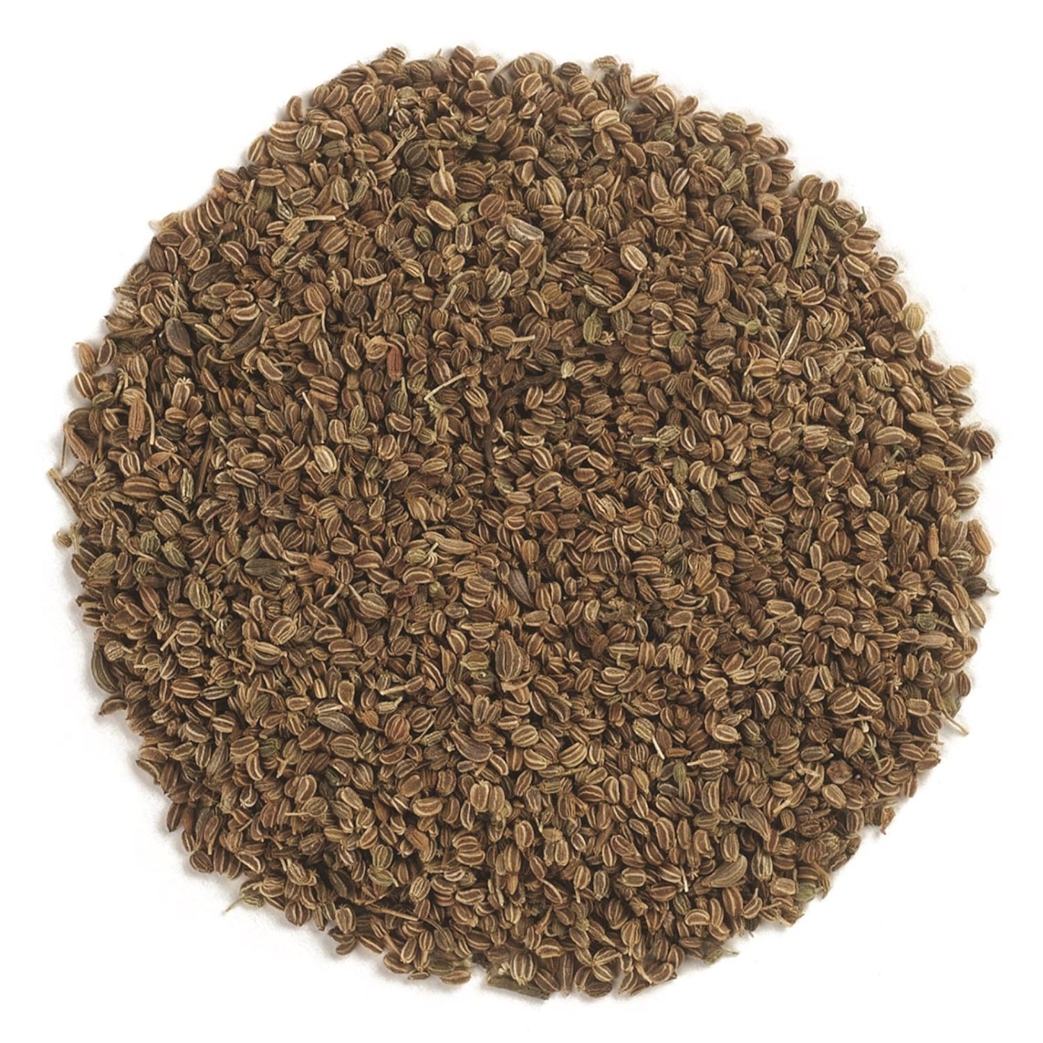 CASABLANCA CELERY SEEDS 12/ 6 OZ